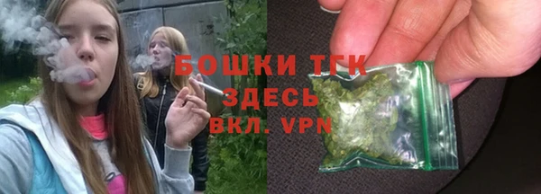 PSILOCYBIN Инта