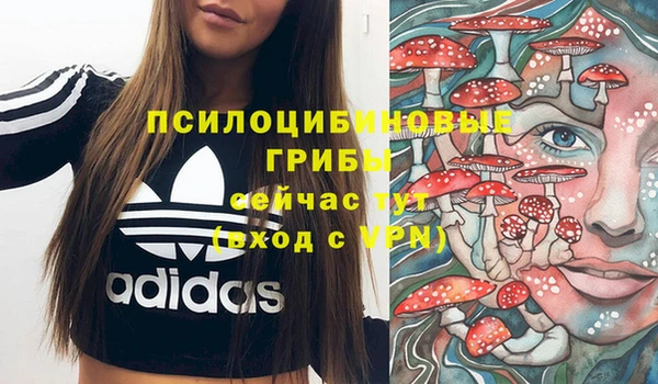 стаф Алексеевка
