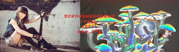 соль курить ск Иннополис