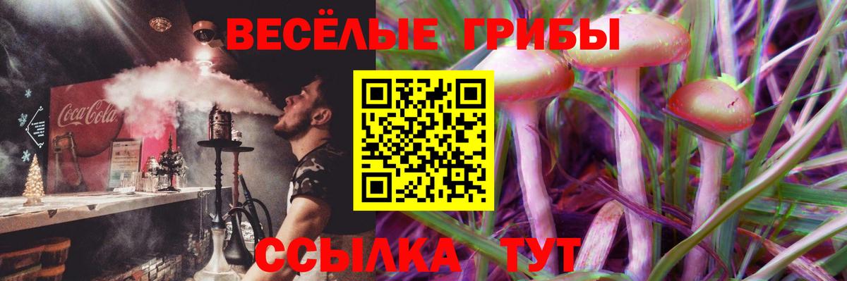 Усть-Лабинск  Галлюциногенные грибы ЛСД  Вход с VPN  где продают   Галлюциногенные грибы GOLDEN TEACHER 