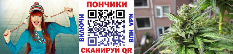где можно купить наркотик  Усть-Лабинск  Конопля Amnesia 